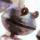 SgtMash